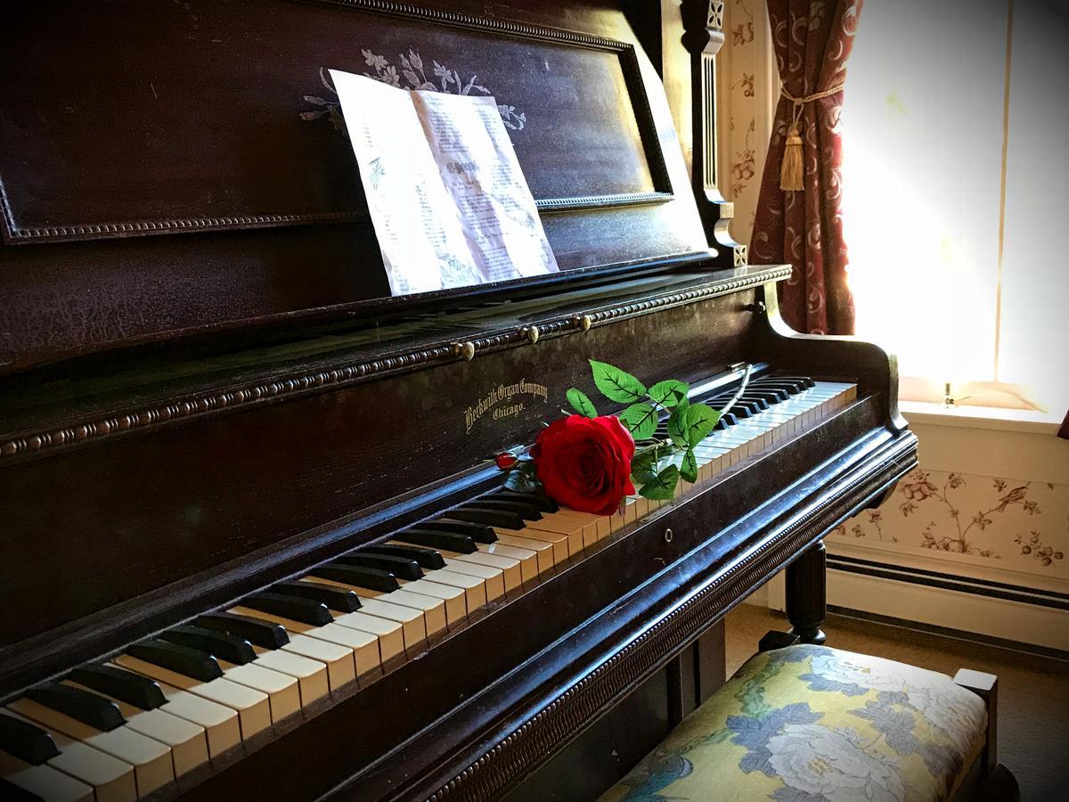 ג'ורג'טאון Rose Street Bed & Breakfast מראה חיצוני תמונה